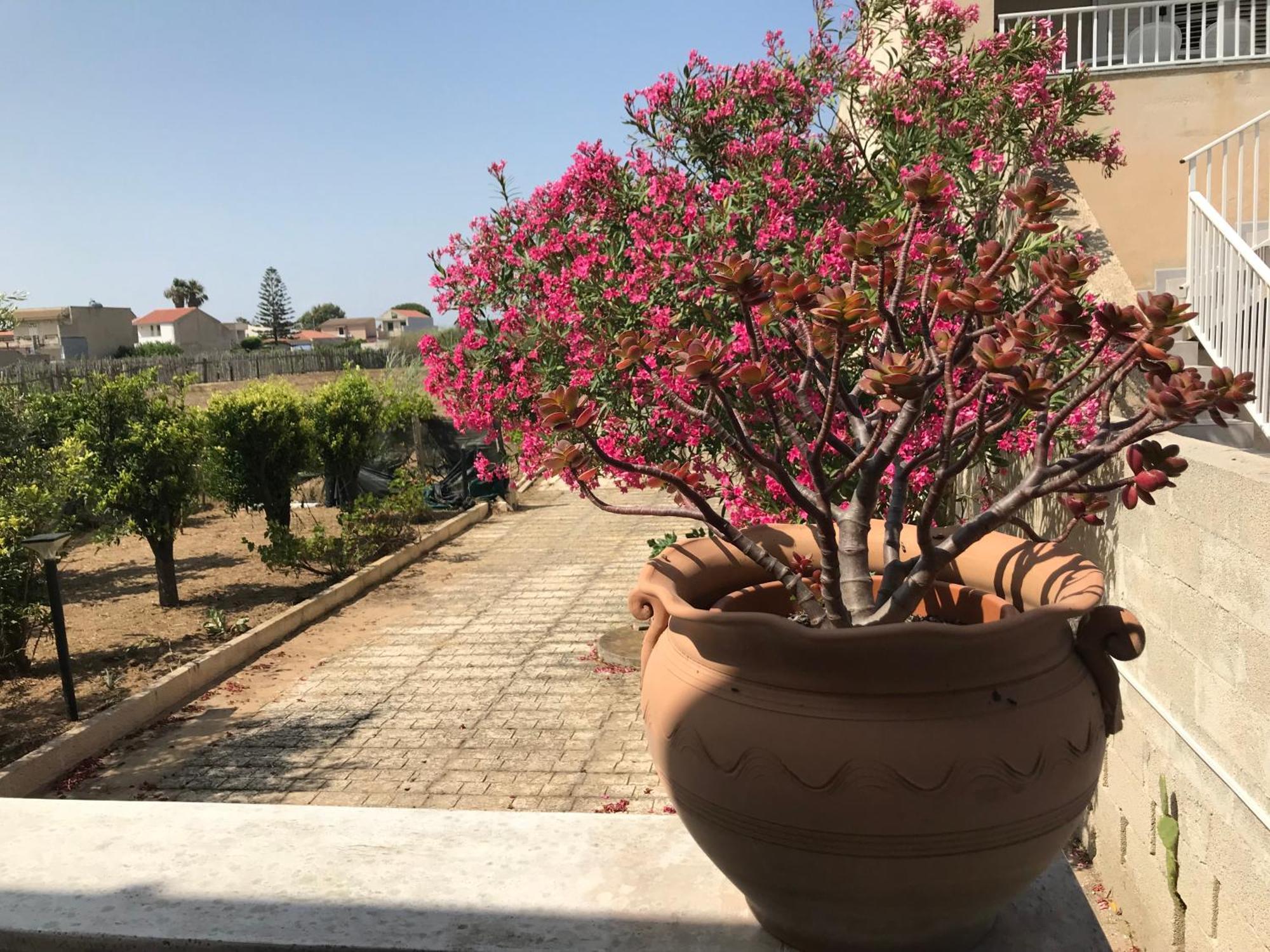 Villino Oleandro Villa ซานตามาเรีย เดล โฟกัลโล ภายนอก รูปภาพ